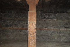 cot9