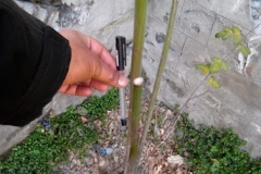 khaspaiawaw3