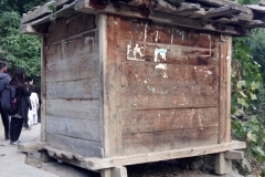 pasti2