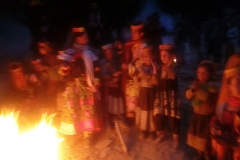 sarazari2