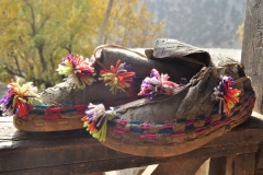 sharakandali9