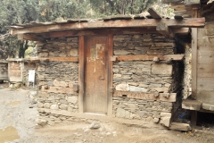zhontr2